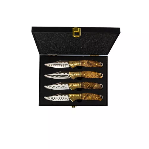 Steakmesserset Homey's Schiffmacher 4-teilig