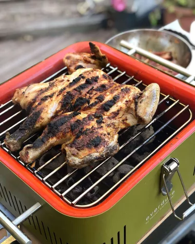 Everdure Everdure Cube Holzkohlegrill Grün / Khaki (HBCUBEKEU)