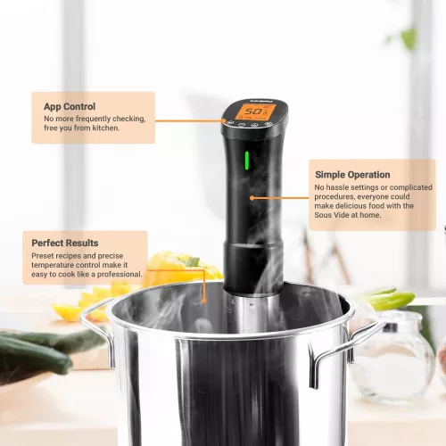 Inkbird BBQ Thermometer INKBIRD ISV-200W WiFi Sous Vide Stick-Kocher (ISV-200W)