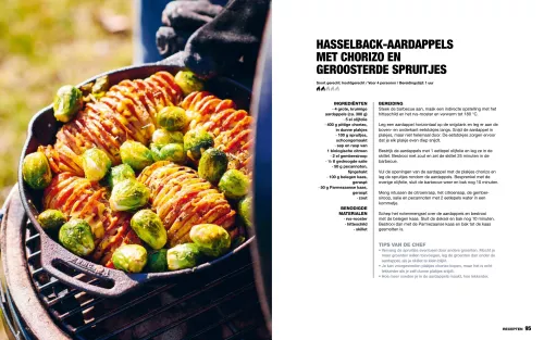 Rauchige Aromen Das ultimative Gusseisenbuch (SF748)